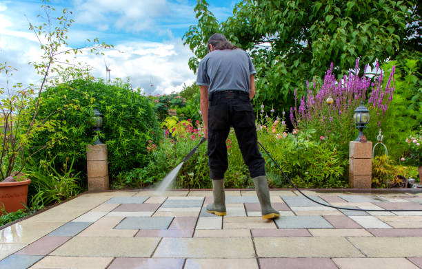 Best Driveway Cleaning and Restoration in La Selva Beach, CA